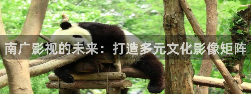 xx青丝影院：南广影视的未来：打造多元文化影像矩阵