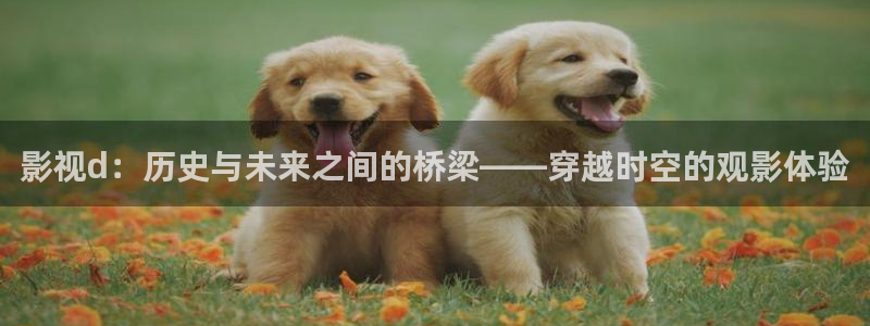 青丝电影网在线观看：影视d：历史与未来之间的桥梁——穿越时空的观影体验