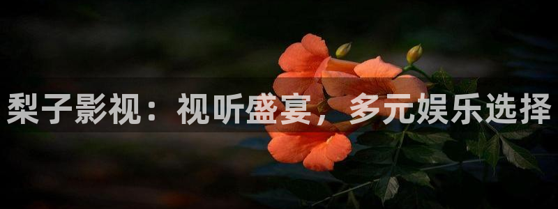 青丝影院免费观看电视剧青丝：梨子影视：视听盛宴，多元娱乐选择
