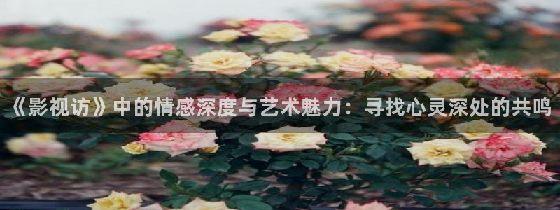 青丝影院免费观看电视剧最新：《影视访》中的情感深度与艺术魅力：寻找心灵深处的共鸣