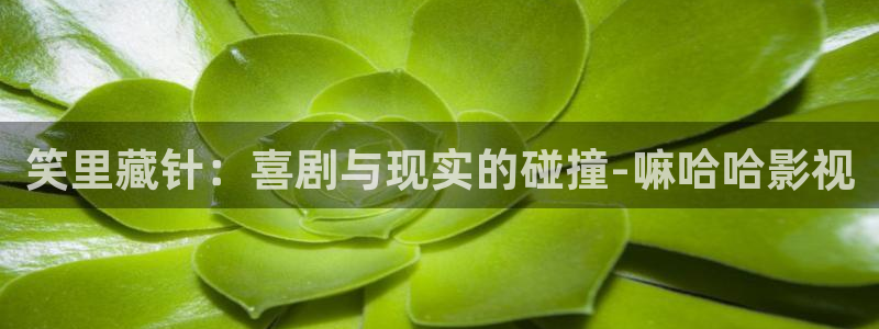 青丝影院免费观看电视剧青丝：笑里藏针：喜剧与现实的碰撞-嘛哈哈影视